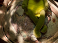 IMG 20201110 WA0072