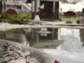 IMG 20201110 WA0096